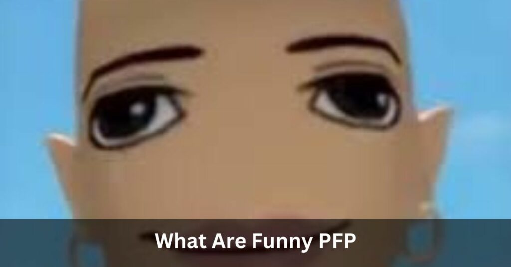 What Are Funny PFP